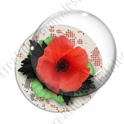 Image digitale - Coquelicot et feuillage 05