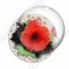 Image digitale - Coquelicot et feuillage 05