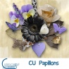 CU Papillons