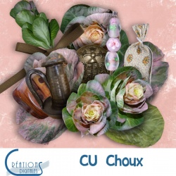 CU Choux