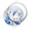 Image digitale - Chatons et chiot 