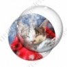 Image digitale - Chat endormi 02