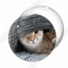 Image digitale - Chaton 