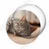 Image digitale - Chaton tigré allongé