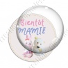 Image digitale - Bientôt mamie Peluches
