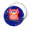 Image digitale - Hibou rouge sur fond bleu