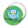 Image digitale - Hibou cyan sur fond vert