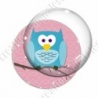 Image digitale - Hibou cyan sur fond rose