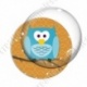 Image digitale - Hibou cyan sur fond orange