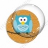 Image digitale - Hibou cyan sur fond orange