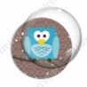 Image digitale - Hibou cyan sur fond marron