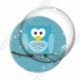 Image digitale - Hibou cyan sur fond cyan