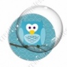 Image digitale - Hibou cyan sur fond cyan