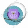 Image digitale - Hibou violet sur fond cyan