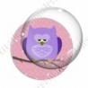 Image digitale - Hibou violet sur fond rose