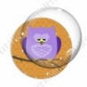 Image digitale - Hibou violet sur fond orange