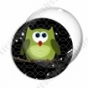 Image digitale - Hibou vert sur fond noir