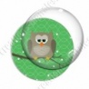 Image digitale - Hibou brun sur fond vert