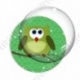 Image digitale - Hibou vert sur fond vert