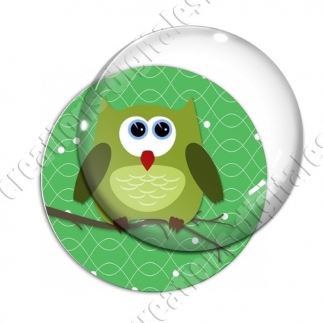 Image digitale - Hibou vert sur fond vert
