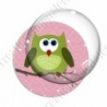 Image digitale - Hibou vert sur fond rose