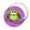Image digitale - Hibou vert sur fond violet