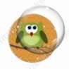 Image digitale - Hibou vert sur fond orange