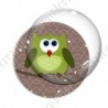 Image digitale - Hibou vert sur fond marron