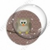 Image digitale - Hibou brun sur fond marron