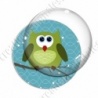 Image digitale - Hibou vert sur fond cyan
