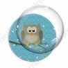 Image digitale - Hibou brun sur fond cyan