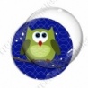 Image digitale - Hibou vert sur fond bleu