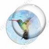 Image digitale - Oiseau - Colibri effet peinture