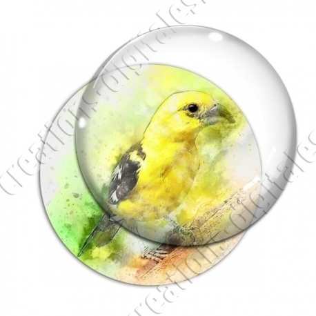 Image digitale - Oiseau - Canari effet aquarelle