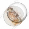 Image digitale - Oiseau - Chouette effet aquarelle