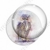 Image digitale - Oiseau - Hibou effet aquarelle