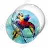 Image digitale - Oiseau - Perroquet effet peinture