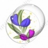 Image digitale - Oiseau bleu et rose fond feuille verte