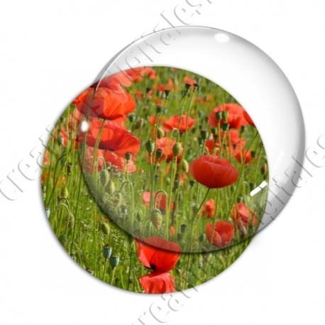 Image digitale - Champ de coquelicots 1