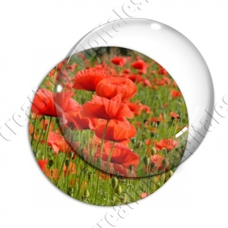 Image digitale - Champ de coquelicots 2