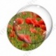 Image digitale - Champ de coquelicots 3