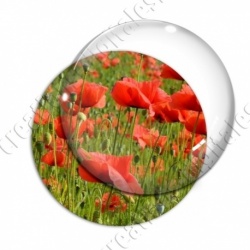 Image digitale - Champ de coquelicots 3