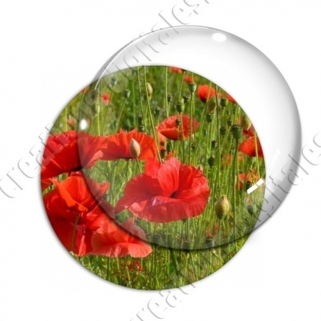 Image digitale - Champ de coquelicots 5