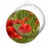 Image digitale - Champ de coquelicots 5