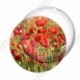Image digitale - Champ de coquelicots 4