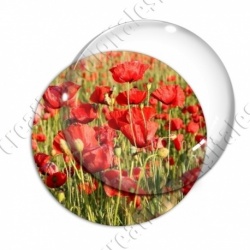 Image digitale - Champ de coquelicots 4