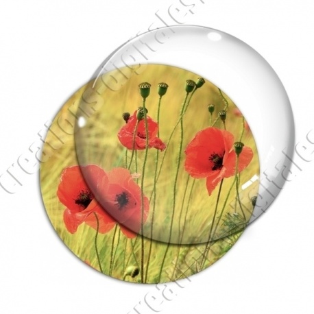 Image digitale - Champ de coquelicots 6