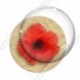 Image digitale - Coquelicot fond brun 01