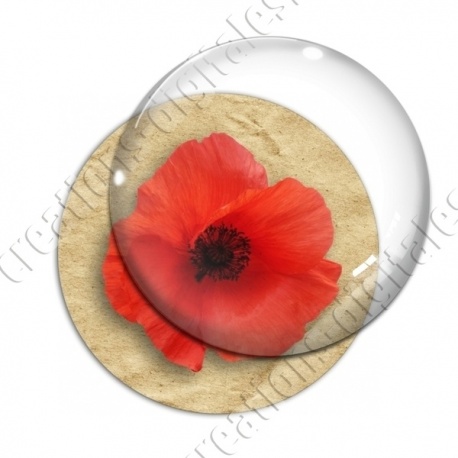 Image digitale - Coquelicot fond brun 01