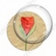 Image digitale - Coquelicot fond brun 02
